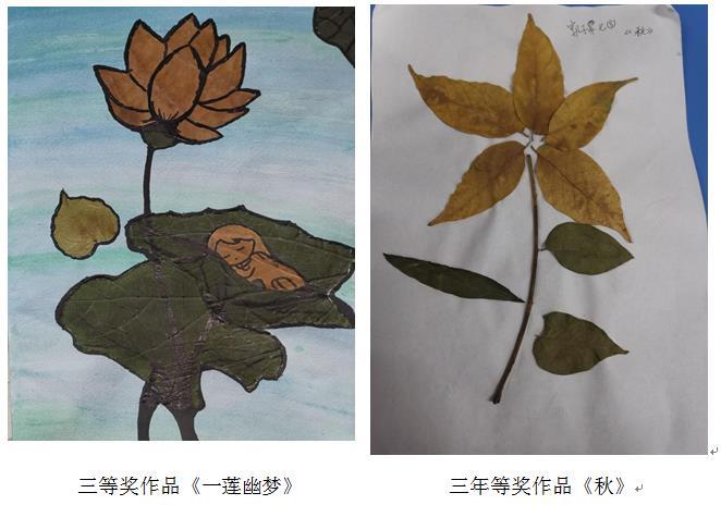 世俱杯天天直播
