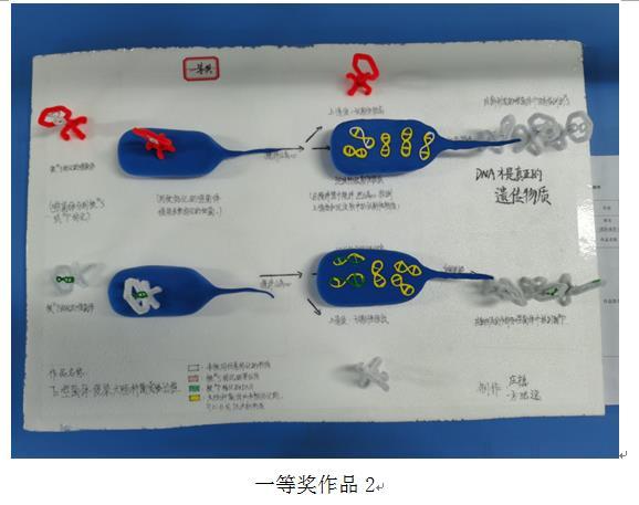 俱乐部世界杯手机版免费直播平台